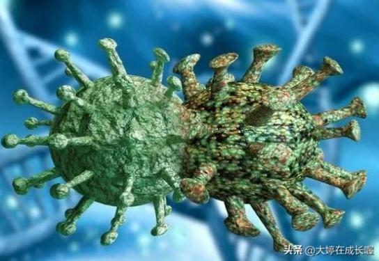 XBB毒株到底該怎么預防？我們一起來了解一下