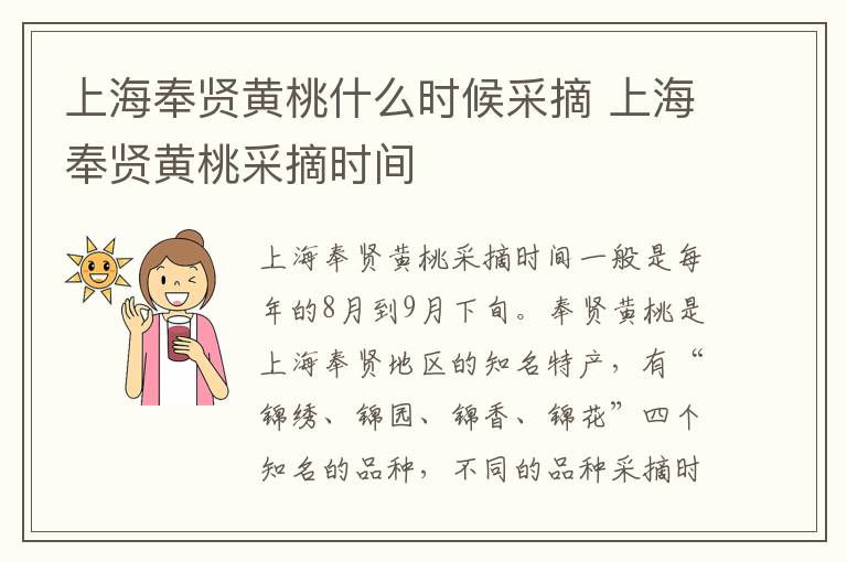上海奉賢黃桃什么時候采摘 上海奉賢黃桃采摘時間