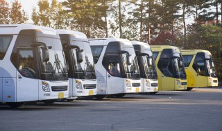 坐長途車不暈車小技巧 坐長途車不暈車小技巧有什么
