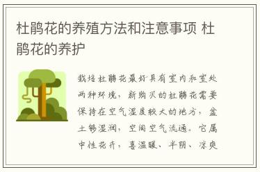 杜鵑花的養(yǎng)殖方法和注意事項 杜鵑花的養(yǎng)護