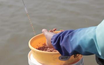 釣魚(yú)打窩量多少合適（釣魚(yú)打窩量多少）