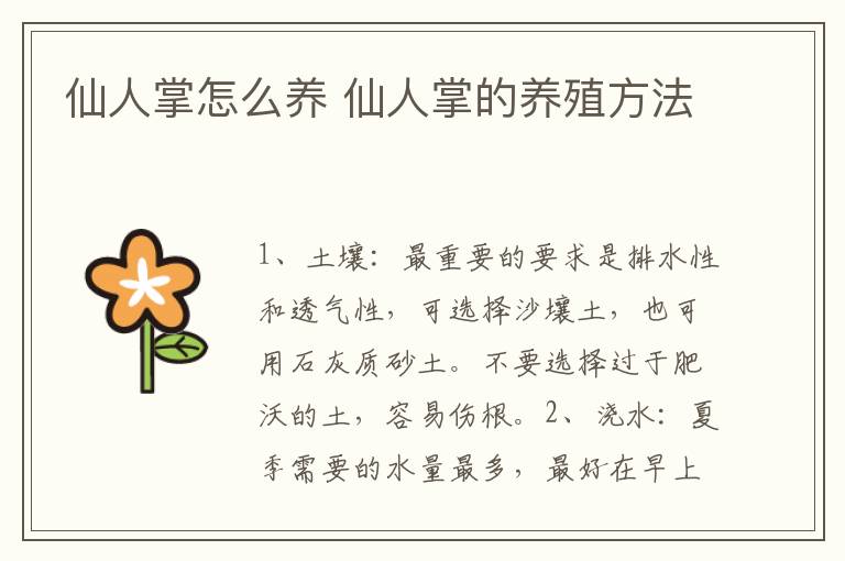 仙人掌怎么養(yǎng) 仙人掌的養(yǎng)殖方法