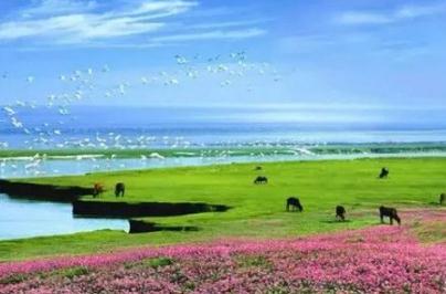 鄱陽湖讀bo還是po，鄱字讀音是po(是中國最大的淡水湖)
