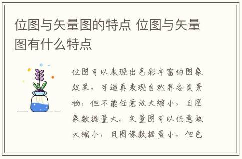 位圖與矢量圖的特點(diǎn) 位圖與矢量圖有什么特點(diǎn)