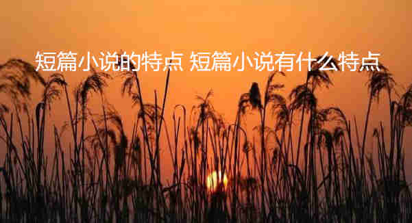 短篇小說的特點 短篇小說有什么特點