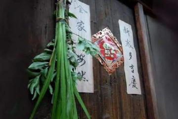 端午節(jié)插艾草的來歷(端午節(jié)插艾草的由來)