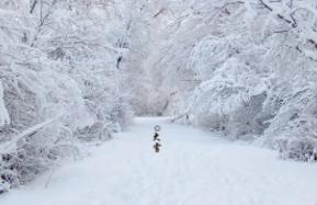 下大雪了的英語怎么說  下大雪了的英語怎么說