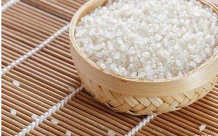 全國(guó)哪個(gè)地方的大米最香最好吃