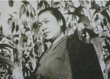 丁玲的生平簡介  丁玲的主要作品有哪些