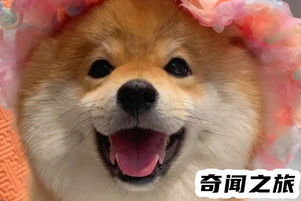 女生叫男生修勾是什么意思(一種很親密的關(guān)系)