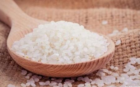 哪個(gè)牌子大米最好吃 有點(diǎn)糯的