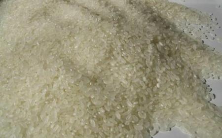 大米對(duì)人體的好處 白米飯有哪些營(yíng)養(yǎng)
