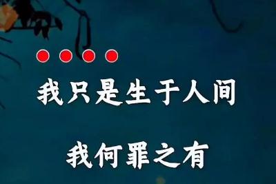 歌詞我可能生來有罪是什么歌
