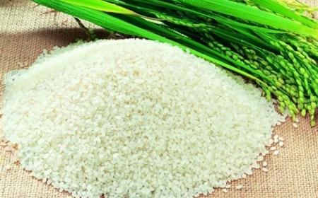 大米對(duì)人體有什么好處和壞處