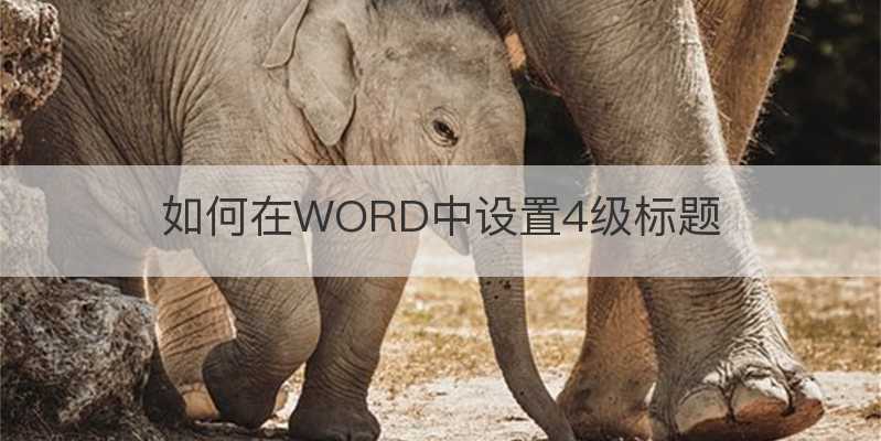 如何在WORD中設置4級標題 WORD教程