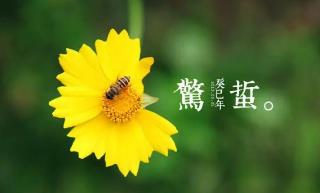 月夜反映的節(jié)氣是指的什么時(shí)候(詩(shī)詞鑒賞之劉方平的月夜)