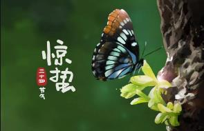 月夜反映的節(jié)氣是指的什么時(shí)候(驚蟄節(jié)氣及介紹)