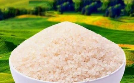 大米哪個(gè)牌子的比較好吃又便宜