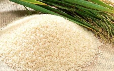 大米提供的主要營(yíng)養(yǎng)素是油脂