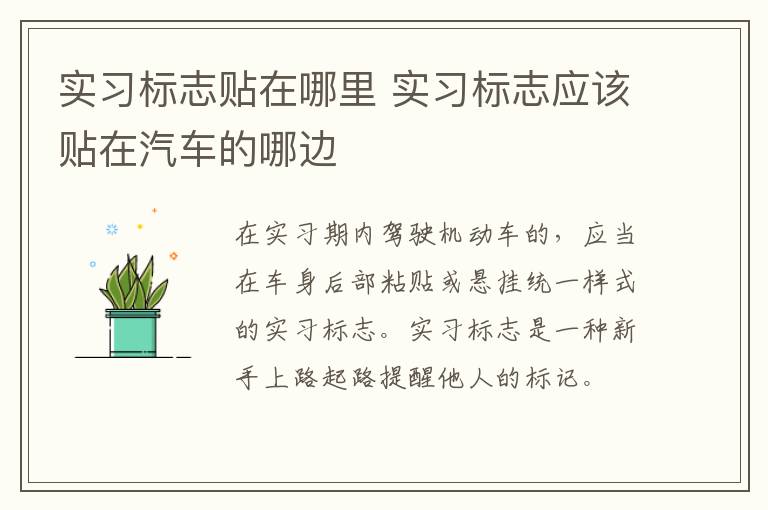 實習標志貼在哪里 實習標志應該貼在汽車的哪邊
