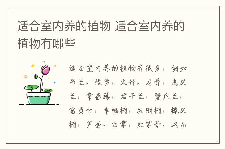 適合室內(nèi)養(yǎng)的植物 適合室內(nèi)養(yǎng)的植物有哪些