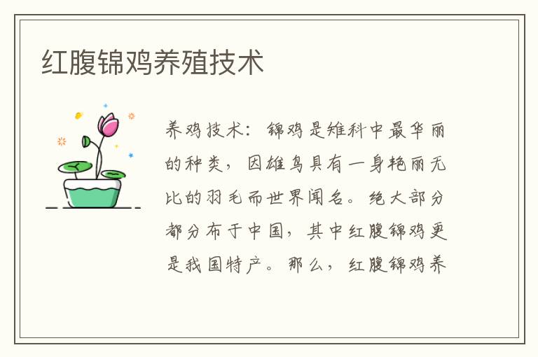 紅腹錦雞養(yǎng)殖技術(shù) 紅腹錦雞怎么養(yǎng)殖