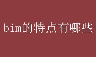 bim的特點有哪些