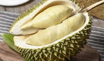 榴蓮種植條件和區(qū)域?榴蓮種植要哪些條件?
