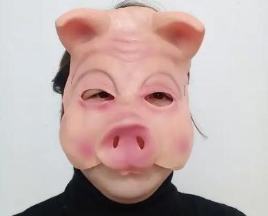 夢(mèng)見豬頭是什么意思,好不好,預(yù)示著什么