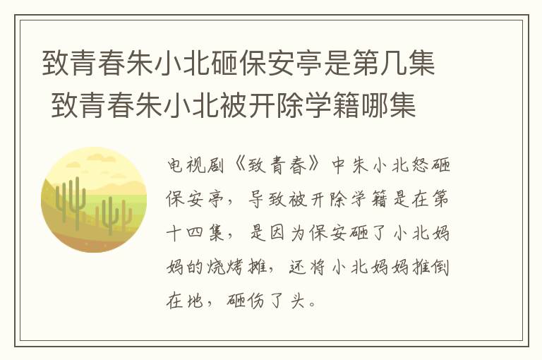 致青春朱小北砸保安亭是第幾集 致青春朱小北被開除學籍哪集