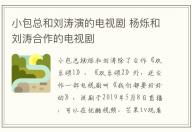 小包總和劉濤演的電視劇 楊爍和劉濤合作的電視劇