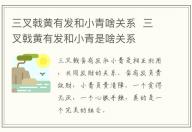 三叉戟黃有發和小青啥關系  三叉戟黃有發和小青是啥關系