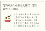 何鴻燊為什么稱他為賭王 何鴻燊為什么是賭王
