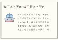 貓王怎么死的 貓王是怎么死的