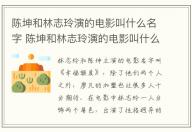 陳坤和林志玲演的電影叫什么名字 陳坤和林志玲演的電影叫什么