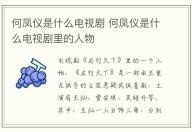 何鳳儀是什么電視劇 何鳳儀是什么電視劇里的人物