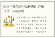 葉冰盧振興是什么電視劇 盧振興是什么電視劇