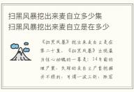 掃黑風(fēng)暴挖出來麥自立多少集 掃黑風(fēng)暴挖出來麥自立是在多少集