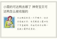 小霞的可達鴨去哪了 神奇寶貝可達鴨怎么被收服的