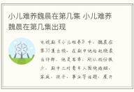 小兒難養魏晨在第幾集 小兒難養魏晨在第幾集出現