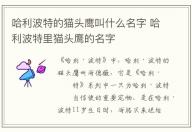 哈利波特的貓頭鷹叫什么名字 哈利波特里貓頭鷹的名字