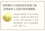 致青春朱小北砸保安亭是第幾集 致青春朱小北被開除學(xué)籍哪集