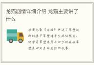 龍貓劇情詳細介紹 龍貓主要講了什么