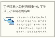 丁學琪王小幸電視劇叫什么 丁學琪王小幸電視劇名稱