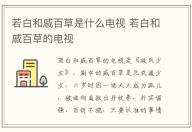 若白和戚百草是什么電視 若白和戚百草的電視