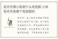 武丹丹黃小棟是什么電視劇 小棟和丹丹是哪個(gè)電視劇的