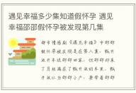 遇見幸福多少集知道假懷孕 遇見幸福邵邵假懷孕被發現第幾集