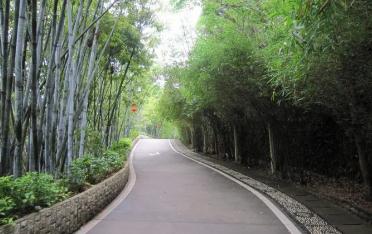 深圳翠竹公園一圈多少公里