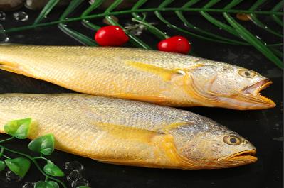黃魚和黃花魚的區(qū)別