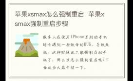 蘋果xsmax怎么強制重啟  蘋果xsmax強制重啟步驟